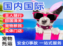 两江航空快运国际宠物托运 【国